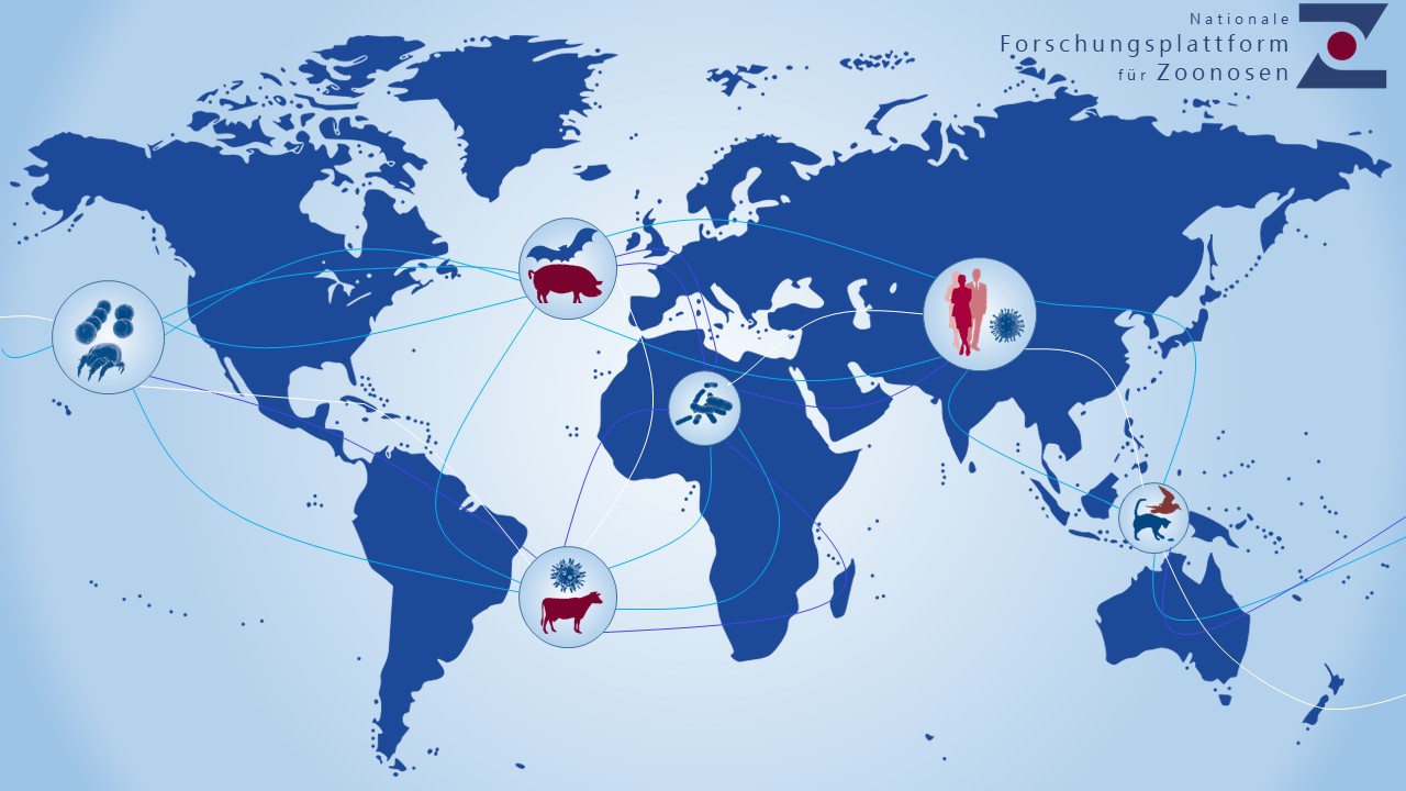 SARS-CoV-2 bei Nutz- und Haustieren | Nationale Forschungsplattform für ...